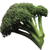 imgi_6_broccoli1